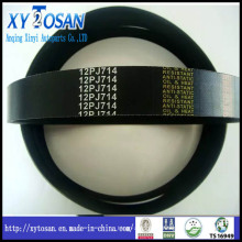 Pk Belt for All Models with Ebst Quality